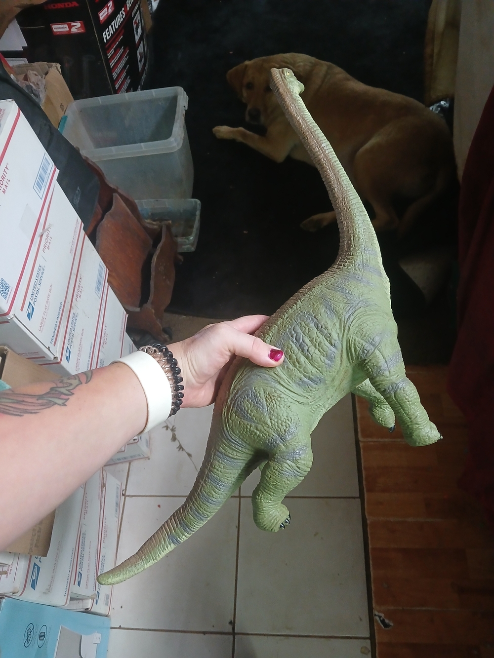 green Dolgen brachiosaurus toy figure has a long neck textured skin. 17"x24"